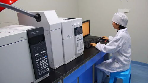 匠心鑄就卓越——福能源紡織品研發實力解析