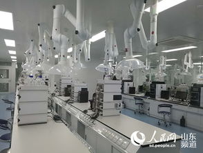 山東羅欣制藥 以創新為翼，打破國外壟斷，引領醫藥研發與國際水平同步前行